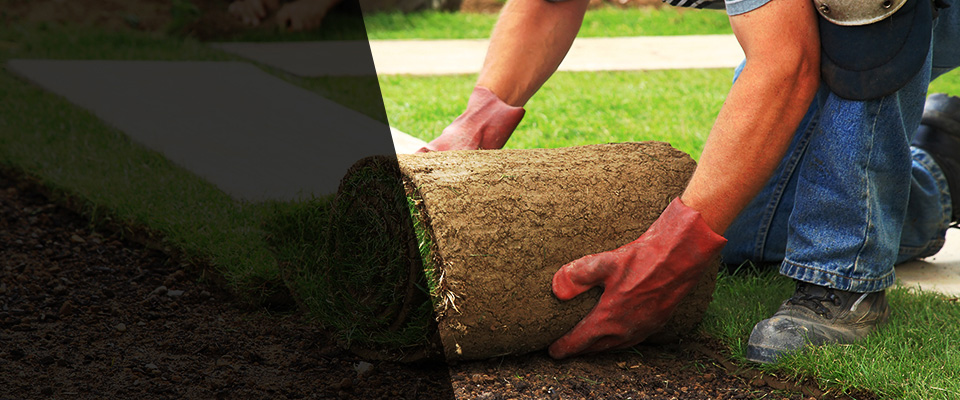 Bluefield Landscapers